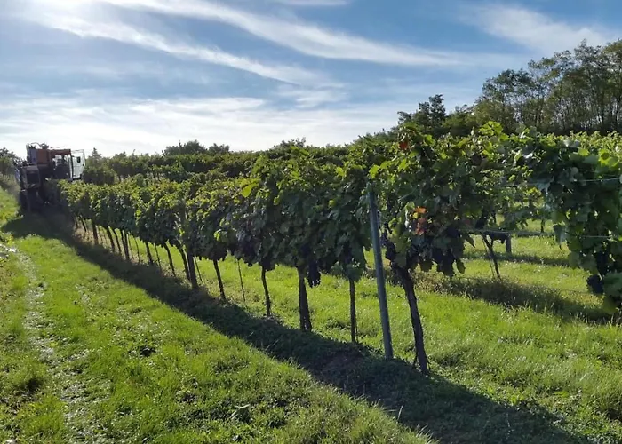 Kuessler By Interhome